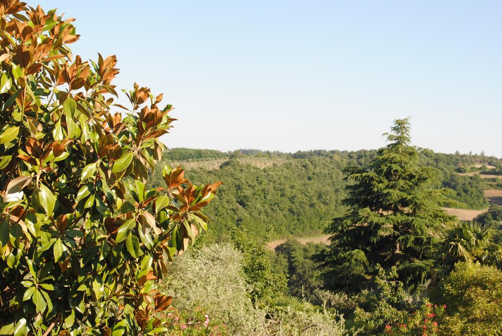 Il Gelsomino Del Perugino Città della Pieve Exterior foto
